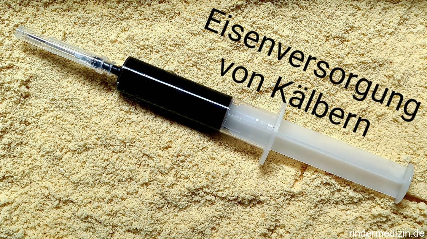 Eisen-Injektion versus orale Eisenversorgung beim Kalb