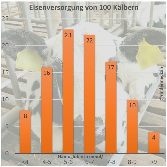 Wie ist es um die Eisenversorgung von Kälbern bestellt?