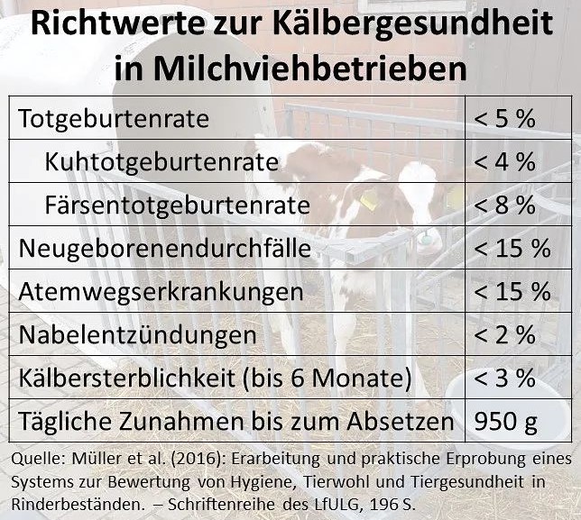 Richtwerte zur Kälbergesundheit in Milchvieh-betrieben