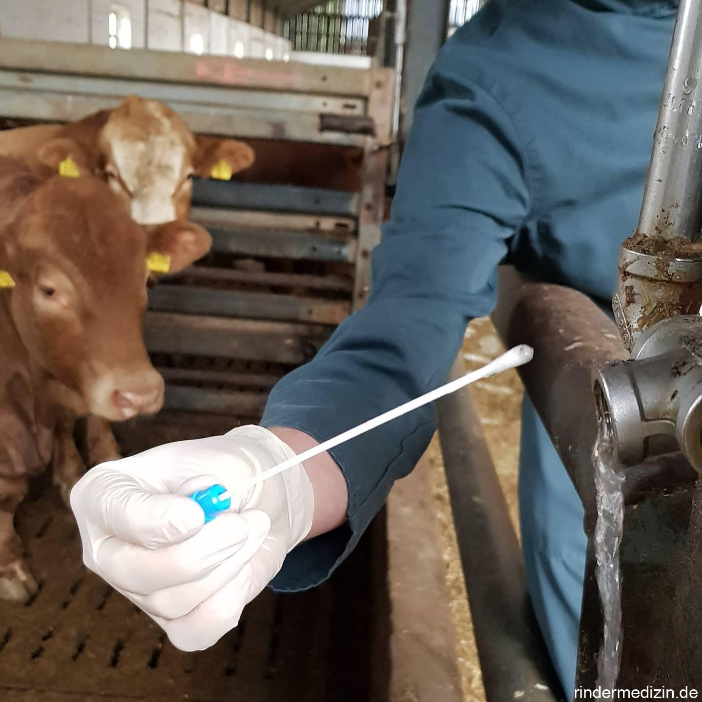 Hygiene in der Wasserleitung