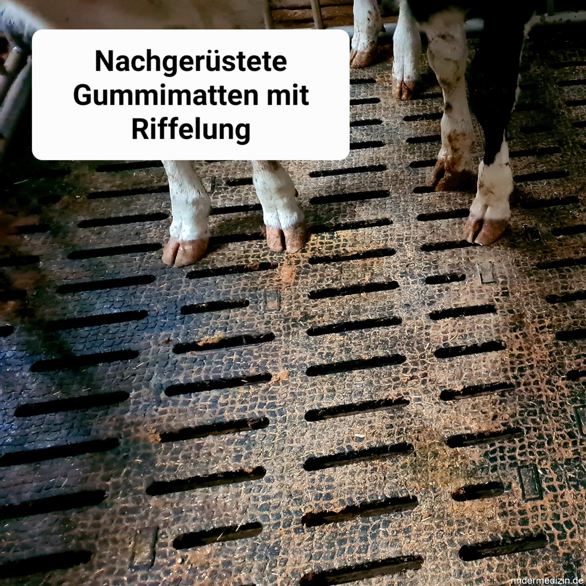 Spaltenb den In Der K lberhaltung Rindermedizin de spaltenb-den-in-der-k-lberhaltung-rindermedizin-de