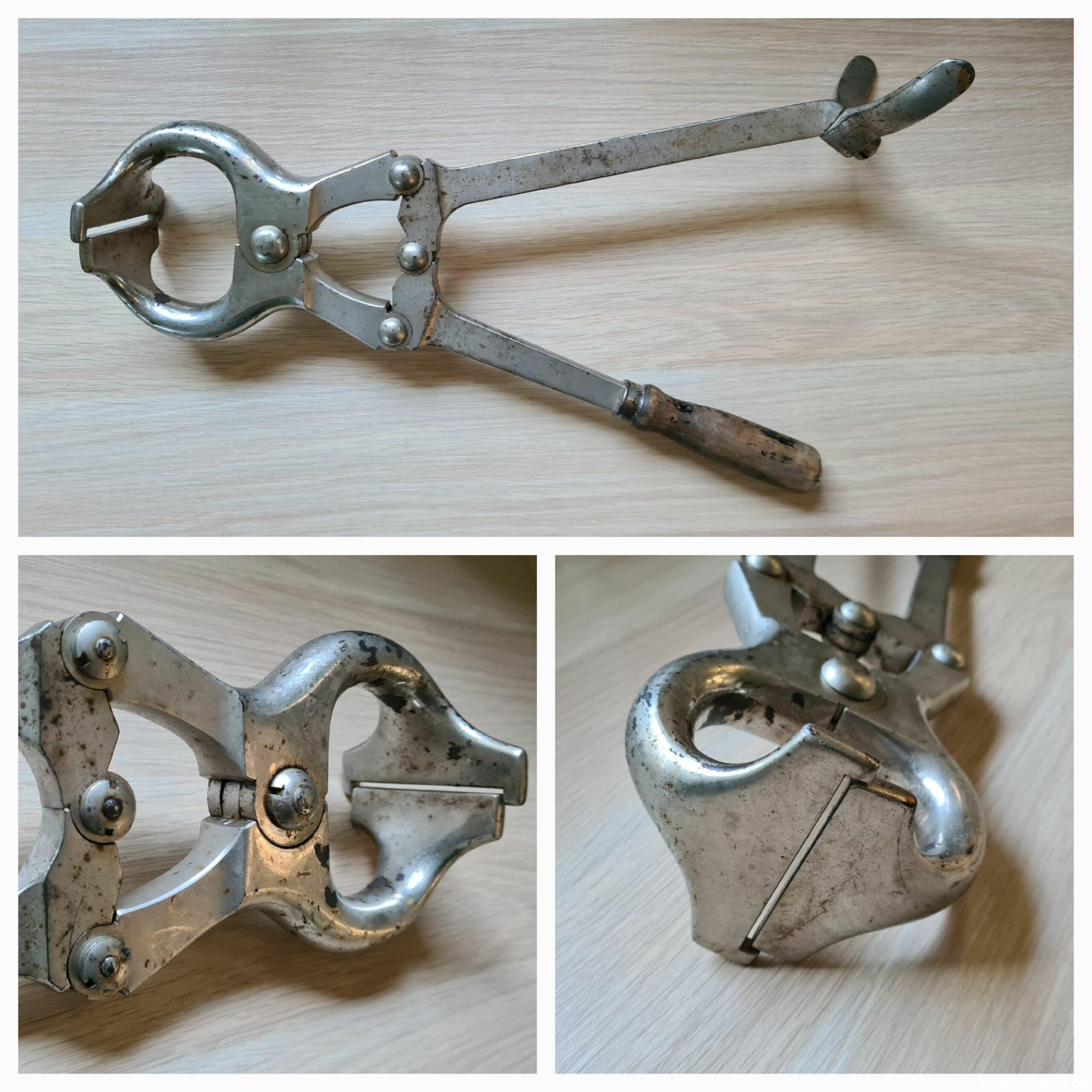 Unblutige Kastration von Bullen mit der Burdizzo-Zange